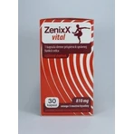 ZenixX VITAL 1×30 cps, пищевая добавка: цены и характеристики