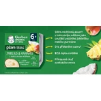 Gerber Organic 100% растительный десерт яблоко и ананас с кокосовым молоком кусочек 4 х 90 г: цены и характеристики