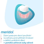 Meridol® Gum Protection Зубна паста для захисту ясен від сліз 2 х 75 мл: ціни та характеристики