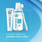 Meridol® Gum Protection Зубна паста для захисту ясен від сліз 2 х 75 мл: ціни та характеристики