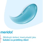 Meridol® Gum Protection Зубна паста для захисту ясен від сліз 2 х 75 мл: ціни та характеристики