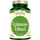 GreenFood Nutrition Экстракт эхинацеи 90 капсул