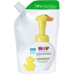 HIPP BABYSANFT WASHING FOAM replacement refill 1×250ml, пенка для умывания, refill: цены и характеристики