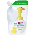 HIPP BABYSANFT WASHING FOAM replacement refill 1×250ml, пенка для умывания, refill: цены и характеристики