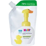 HIPP BABYSANFT WASHING FOAM replacement refill 1×250ml, пенка для умывания, refill: цены и характеристики