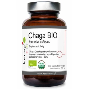 CHAGA BIO Inonotus obliquus 60 капсул Kenay