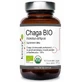 CHAGA BIO Inonotus obliquus 60 капсул Kenay