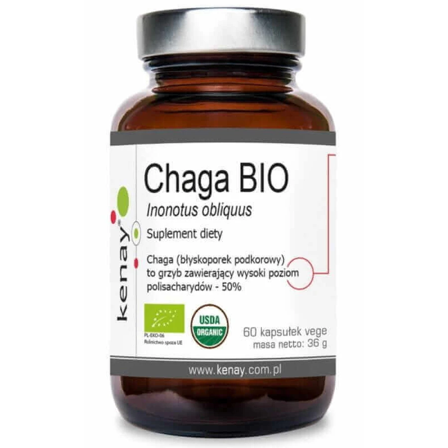 CHAGA BIO Inonotus obliquus 60 капсул Kenay: цены и характеристики