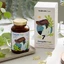 OmegaMe Vege жирные кислоты Омега 3 DHA из морских водорослей с витамином D3, 60 капсул