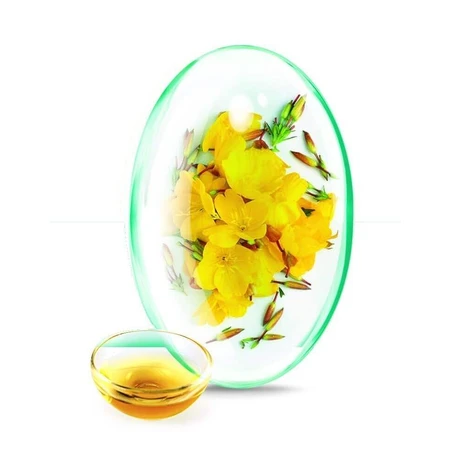 Примула вечірня + Вітамін Е Rotta Natura Evening Primrose + Vitamina E, 90 капсул + 30 капсул: ціни та характеристики