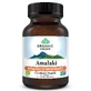 Amalaki Вітамін С та натуральні антиоксиданти, 60 капсул, Organic India