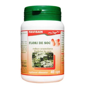 Бузина, 40 капсул, Favisan