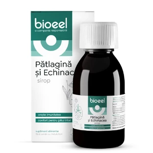 Сироп з хвоща та ехінацеї, 120 мл, Bioeel