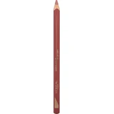 Помада для губ Loreal Paris Colour Riche 107 Seine Sunset, 1,2 г
