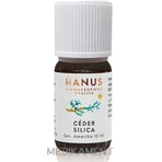 HANUS SILICA CEDAR 1×10 мл, эфирное масло: цены и характеристики