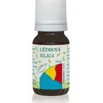 HANUS SILICA CEDAR 1×10 мл, эфирное масло: цены и характеристики