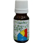 HANUS SILICA CEDAR 1×10 мл, эфирное масло: цены и характеристики
