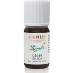HANUS SILICA CEDAR 1×10 мл, эфирное масло: цены и характеристики