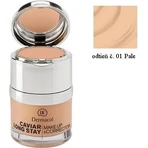 DERMACOL MAKE-UP с консилером CAVIAR FAIR 1×30 мл, макияж: цены и характеристики