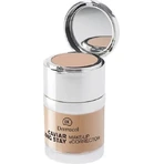 DERMACOL MAKE-UP с консилером CAVIAR FAIR 1×30 мл, макияж: цены и характеристики