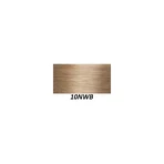 Перманентный цвет волос Joico Lumishine Permanent Creme 10NWB 74 мл: цены и характеристики