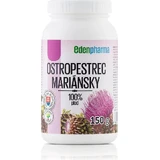EDENPharma MARIAN OYSTERBERRY 1×150 г, пищевая добавка