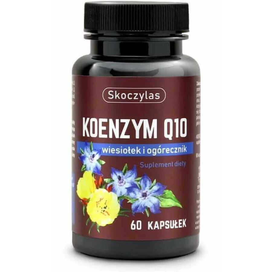 Skoczylas Коэнзим Q10, примула вечерняя и бурачник 60 капсул: цены и характеристики
