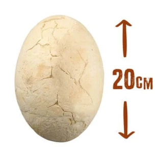 Мега оул Дино, Буки