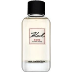 KARL LAGERFELD ROME DIVINO AMOR EDP 1×100ml, парфумована вода для жінок: ціни та характеристики