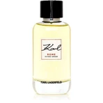 KARL LAGERFELD ROME DIVINO AMOR EDP 1×100ml, парфумована вода для жінок: ціни та характеристики