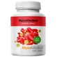 МікоХолест 120 капсул MycoMedica