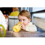 Tommee Tippee Superstar Sipper, чашка с защитой от протекания, 12м+, 390 мл: цены и характеристики