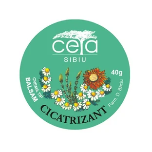 Мазь загоювальна, 40 г, Ceta Sibiu