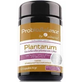 ProbioBalance, Lactobacillus plantarum LP01 10 уп. x 30 вегетарианских капс. Aliness