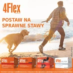 4Флекс Bausch Health Poland 4Flex, со вкусом черной смородины, 30 пакетиков: цены и характеристики