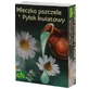 GAL Маточне молочко + квітковий п'єк, 48 капсул