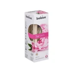 Ароматичний дифузор Bolsius Aromatic 2.0 Diffuser 45 мл Півонія 1×45 мл, ароматичний дифузор: ціни та характеристики