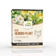Геморо-Плант чай для здорової товстої кишки, 150 г, Dorel Plant
