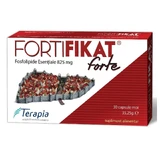 Фортифікат Форте