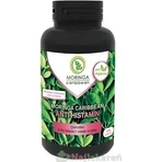 MORINGA Моринга Карибская АНТИ-ГИСТАМИН 1×120 капс, пищевая добавка: цены и характеристики