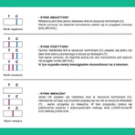 Тест Liver-Screen, тест для оценки физиологического состояния печени, 1 штука: цены и характеристики