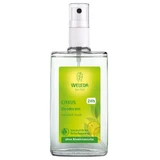 Weleda, цитрусовый дезодорант, 100 мл
