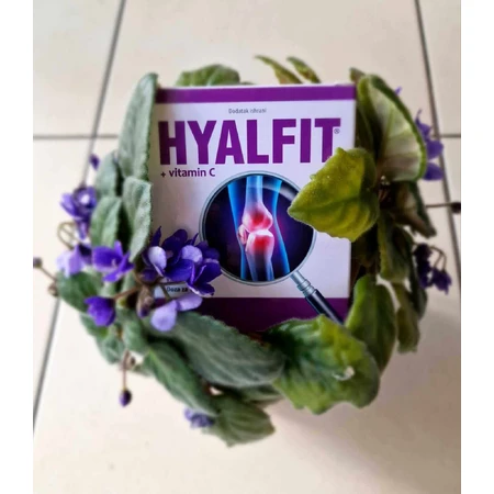 Hyalfit + вітамін С 90 капсул: ціни та характеристики
