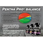 Prom-In Pentha Pro Balance Шоколадная коробка с кокосом 2250 г: цены и характеристики