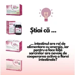 Омні Біотик Institut Allergosan Omni-Biotic Hetox Light, пакетик 3 г, 30 шт.: ціни та характеристики