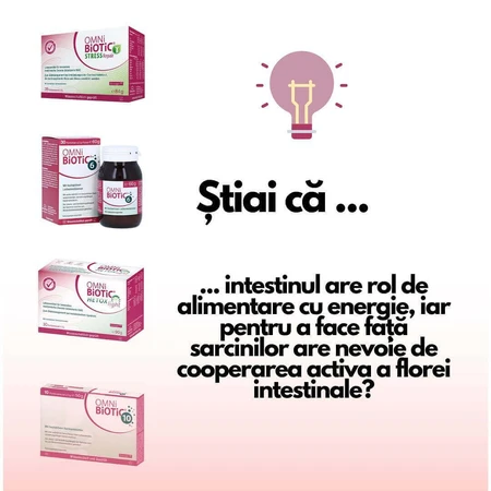 Омні Біотик Institut Allergosan Omni-Biotic Hetox Light, пакетик 3 г, 30 шт.: ціни та характеристики