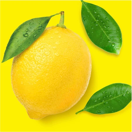 Mr. Proper Lemon Многоцелевое средство для плавления 1,5 л: цены и характеристики