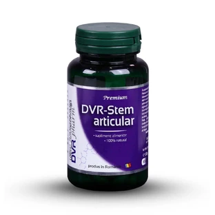 DVR-стебло суглобове, 60 капсул, Dvr Pharm