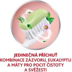 Зубная паста Parodontax Herbal Fresh 3 x 75 мл: цены и характеристики