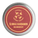 Cztery Szpaki, бальзам для губ, ливка и кардамон, 15 мл: цены и характеристики
